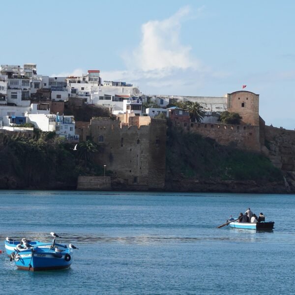 rabat, morocco, medina, nature, africa, sea, boat, seagulls, fortifications