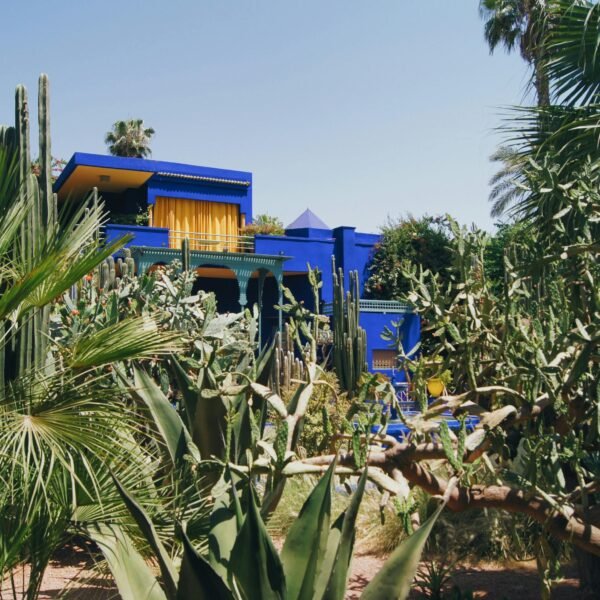 Vibrant Majorelle Blue house surrounded by lush exotic plants and cacti under a clear sky.
